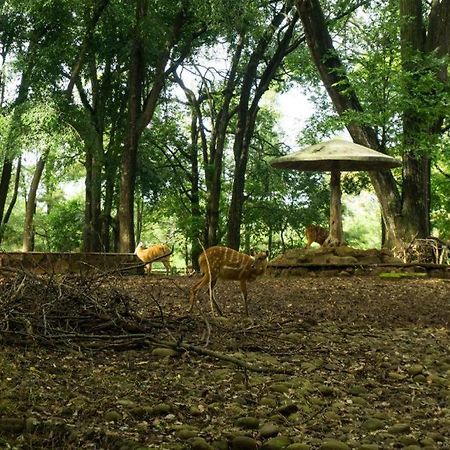 Arimbi Pejaten Suites Джакарта Экстерьер фото